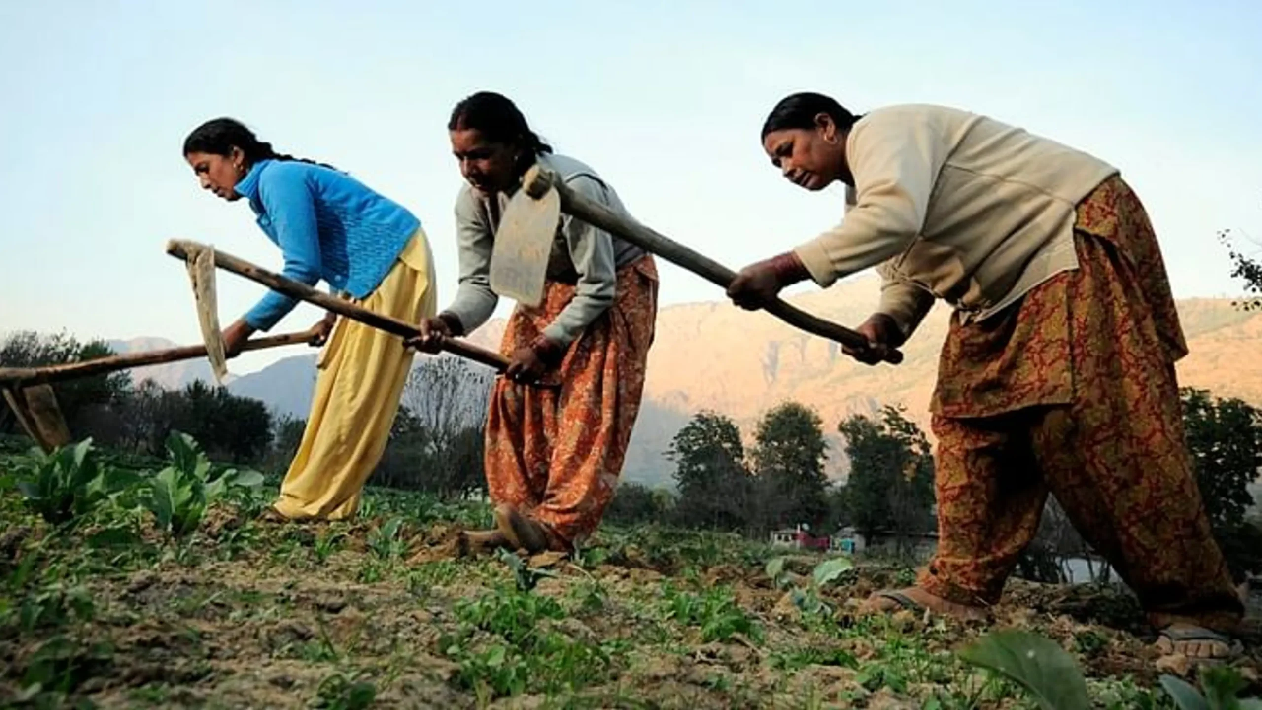 Mukhyamantri mazi ladki bahin Yojana 